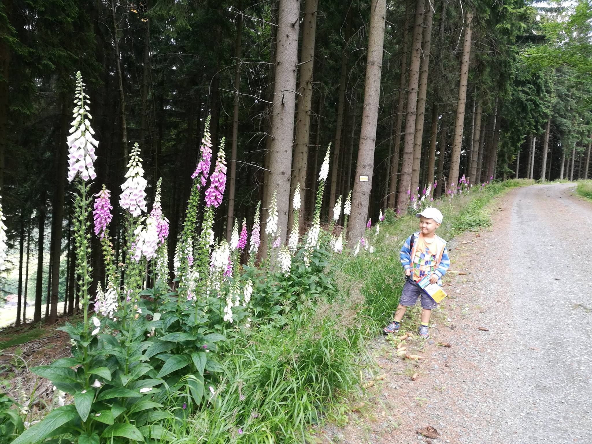 W poszukiwaniu niedźwiedzi w Karkonoszach - zdjęcie 6