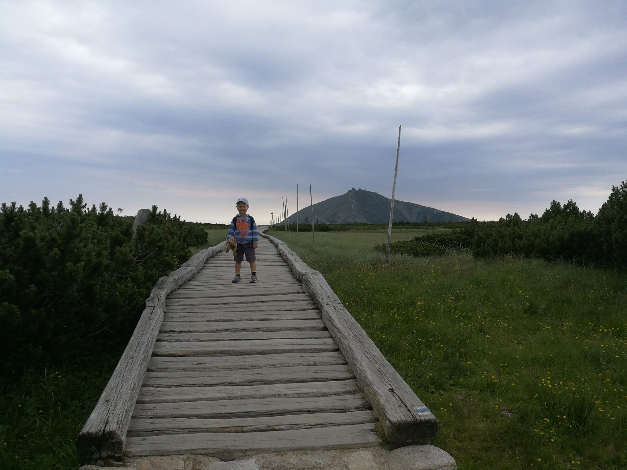 W poszukiwaniu niedźwiedzi w Karkonoszach - zdjęcie 7