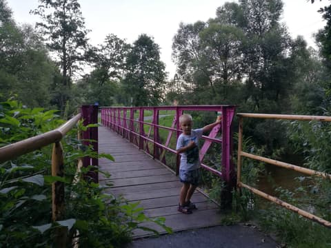 Leon na różowym moście nad rzeką