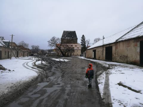 Leon na błotnistej drodze przez wieś, w tle wieża książęca