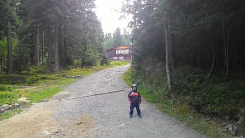 Mały Leon na leśnej drodze, w tle schronisko