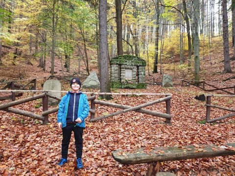 Leon na dawnym cmentarzu leśnym z kamienną kapliczką