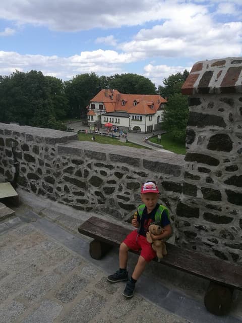 Leon z pluszakiem na murku, w tle schronisko na Ślęży