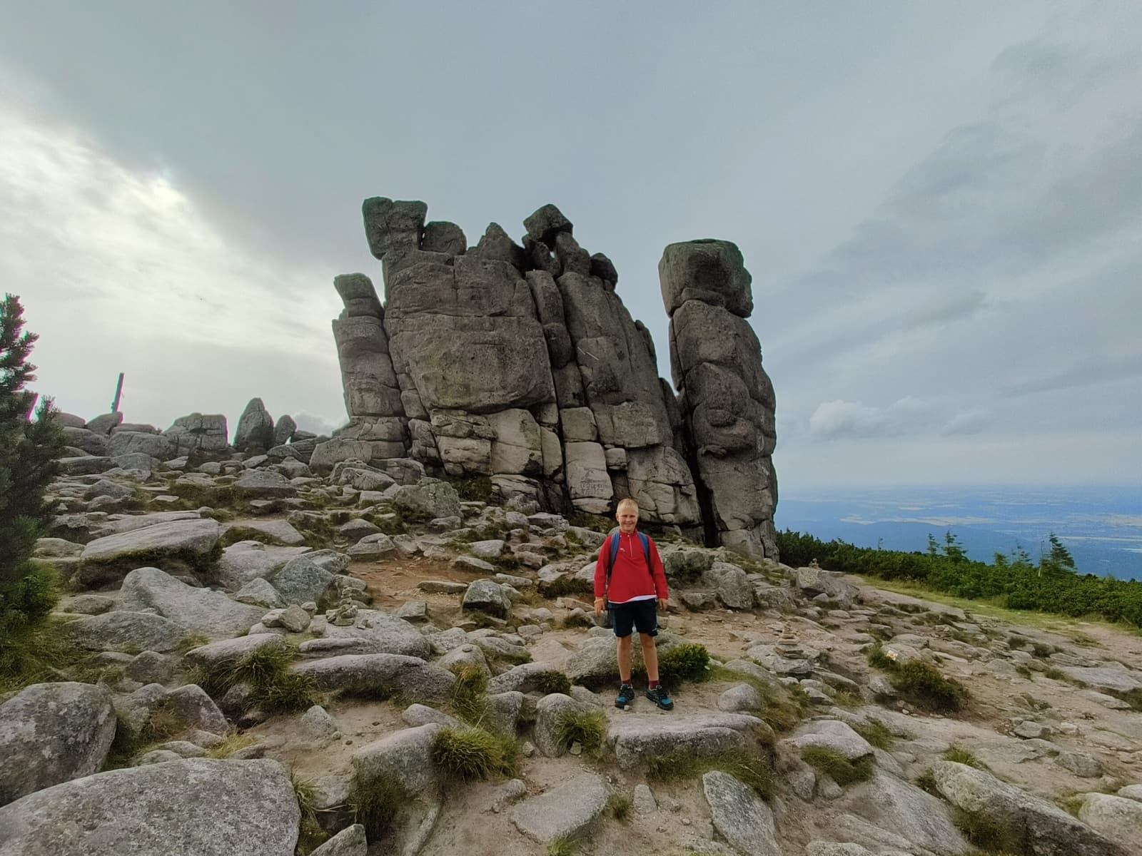 Leon pod granitowymi skałami Słonecznika