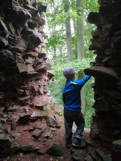 Leon dotyka kamiennych murów ruin zamku