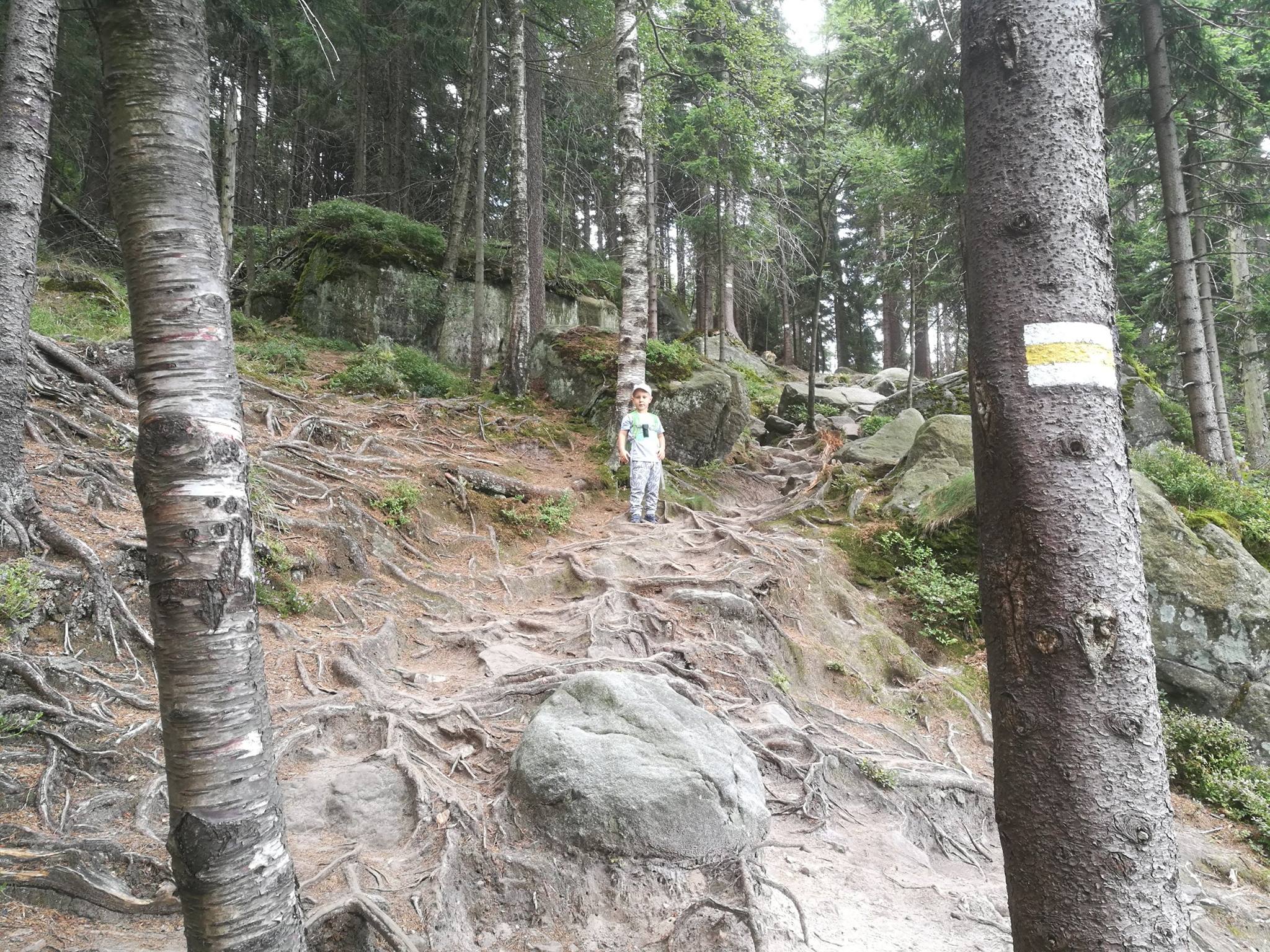 Wyprawa w Góry Stołowe: Szczeliniec Wielki i labirynt Błędnych Skał - zdjęcie 5