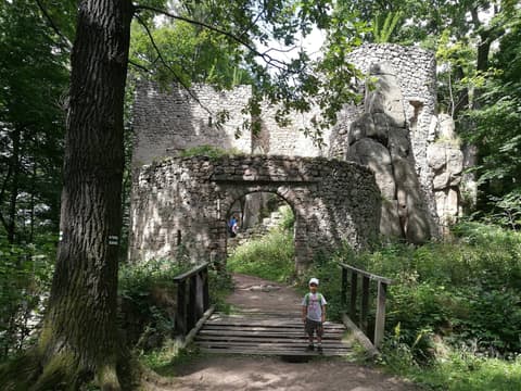 Leon na mostku przed bramą ruin zamku Bolczów
