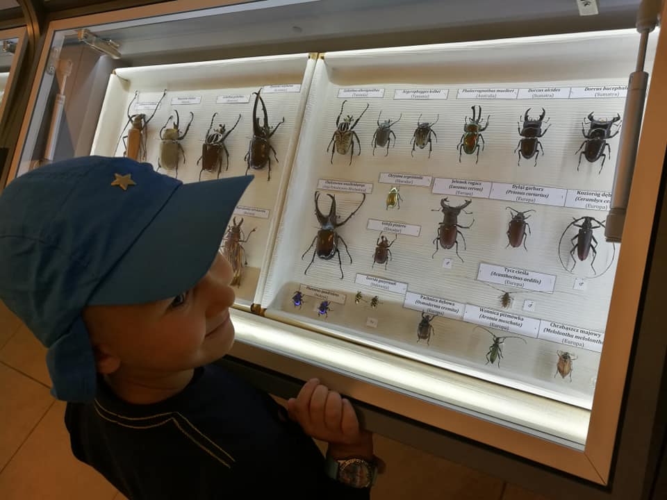 Wzgórza Łomnickie: Grodna i Witosza - zdjęcie z wyprawy