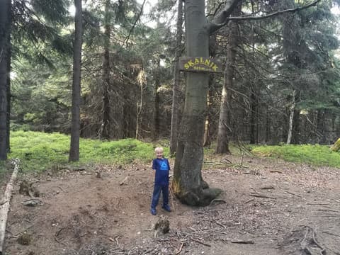 Leon pod drewnianą tabliczką szczytową Skalnika