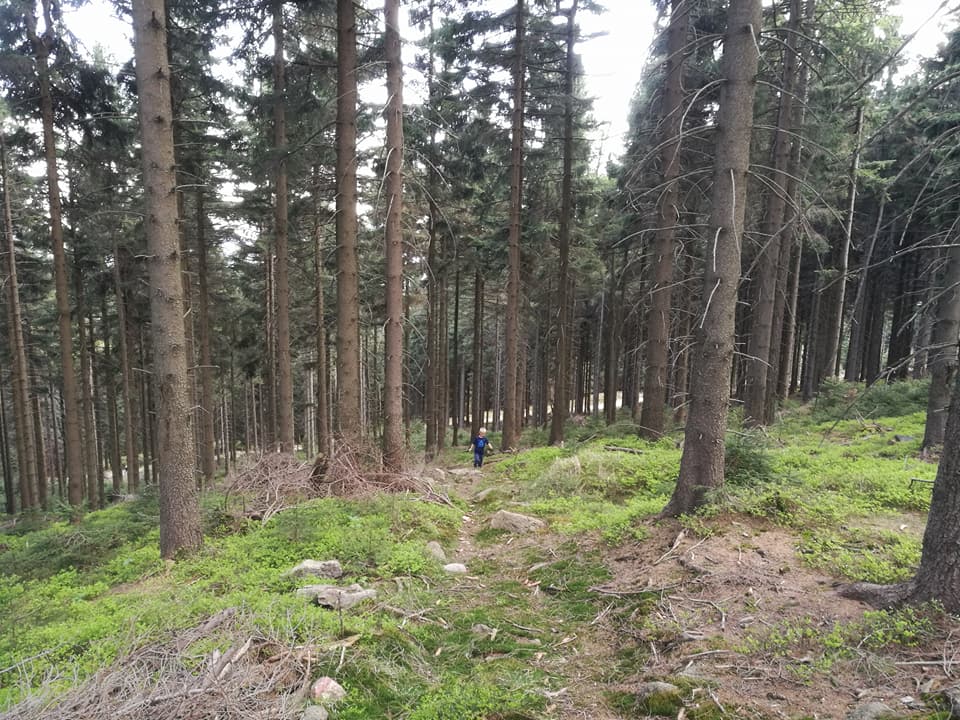 Zachód słońca na Skalniku - zdjęcie 4