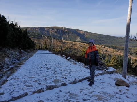 Leon na ośnieżonej drodze, w tle grzbiet Karkonoszy